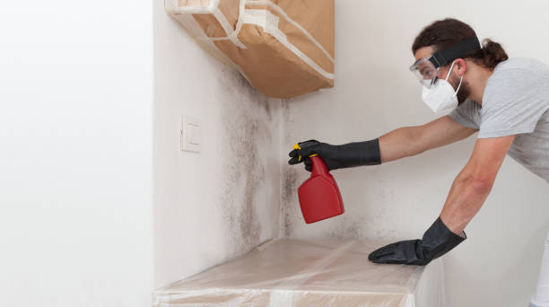 Professional Bathroom Mold Removal technician working in Young America, MN