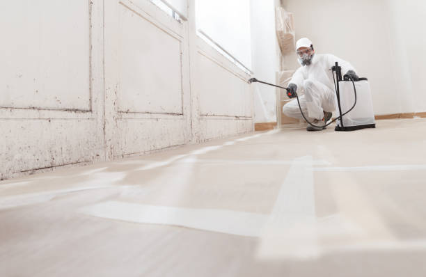 24/7 Emergency Bathroom Mold Removal experts in Young America, MN