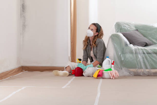 Reliable Bathroom Mold Removal contractor in Young America, MN by Mold Remediation HQ
